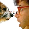 Honey, I Shrunk the Kids