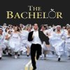 The Bachelor